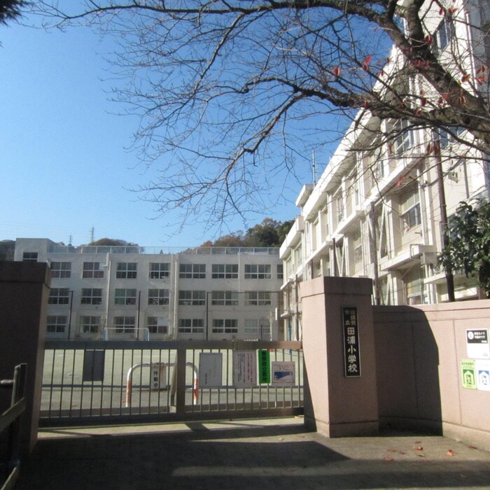 田浦小学校