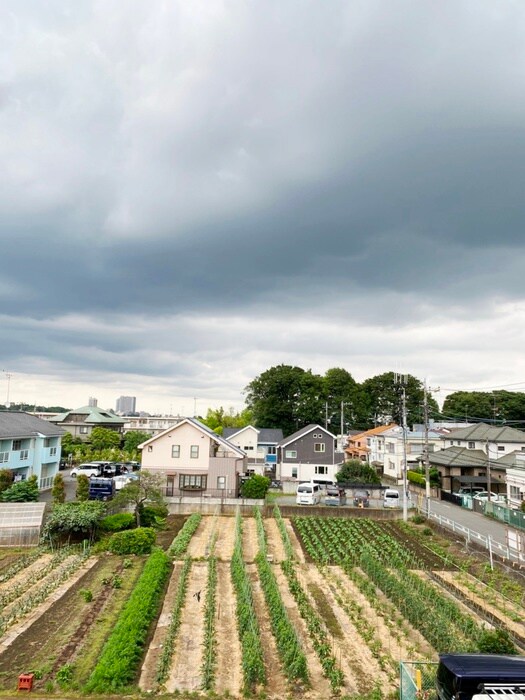 物件内観写真22　(周辺環境)