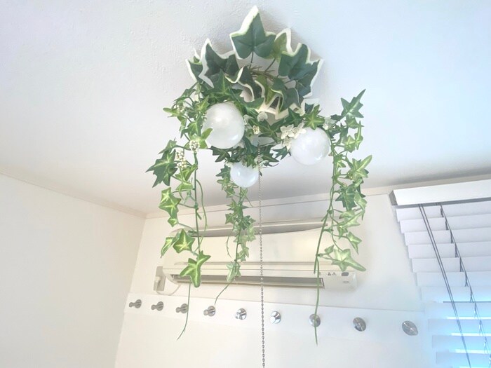 物件内観写真20　(靴箱)