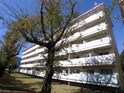 南大和団地１３号棟（３０１）