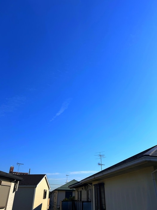 Cookieの周辺環境