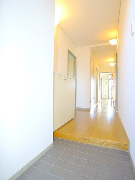 物件内観写真19　(靴箱)