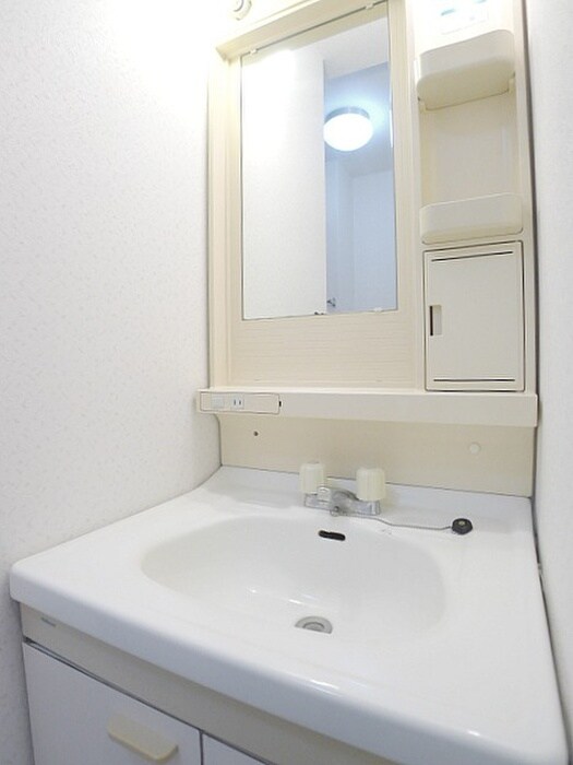 エクセル青山の洗面