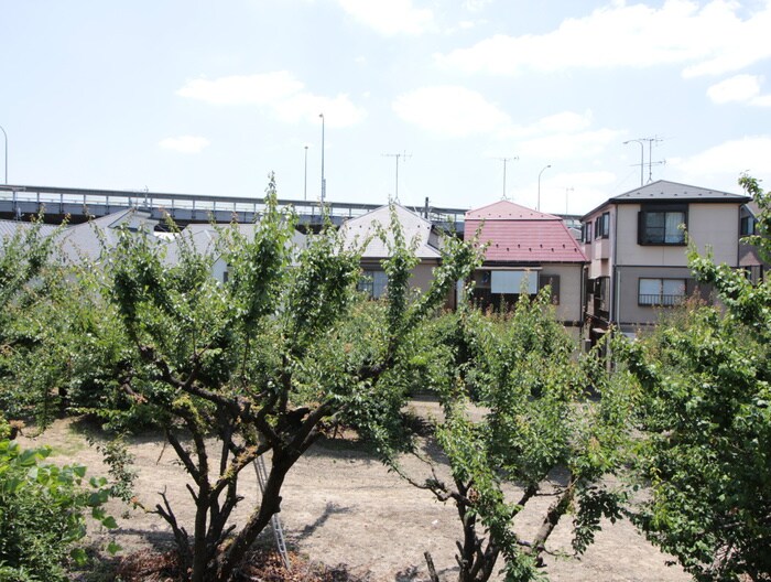 物件内観写真14　(室内からの展望)