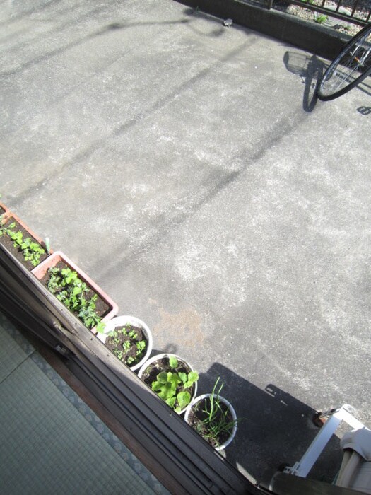 物件内観写真15　(室内からの展望)