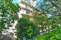 ローラン木根川