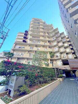 朝日プラザ東池袋(218)外観写真