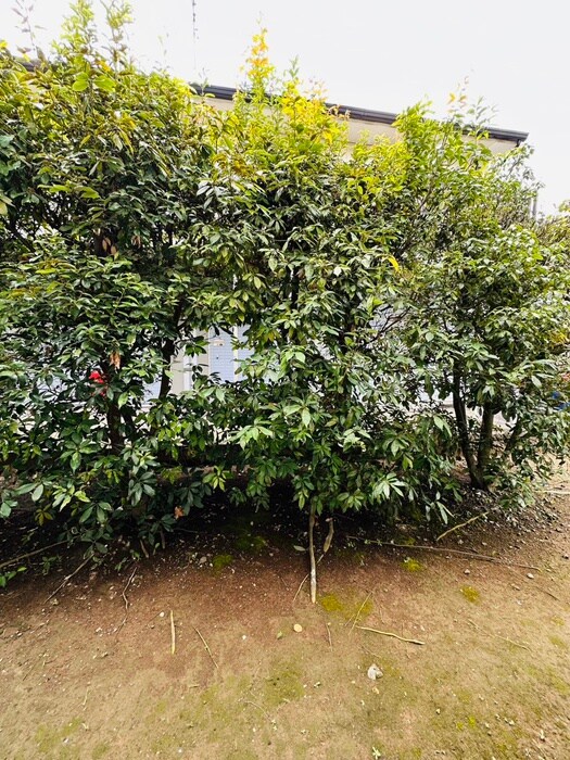 物件内観写真20　(室内からの展望)