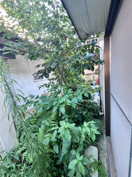 物件内観写真13　(ベランダ・バルコニー)