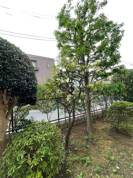 物件内観写真16　(室内からの展望)