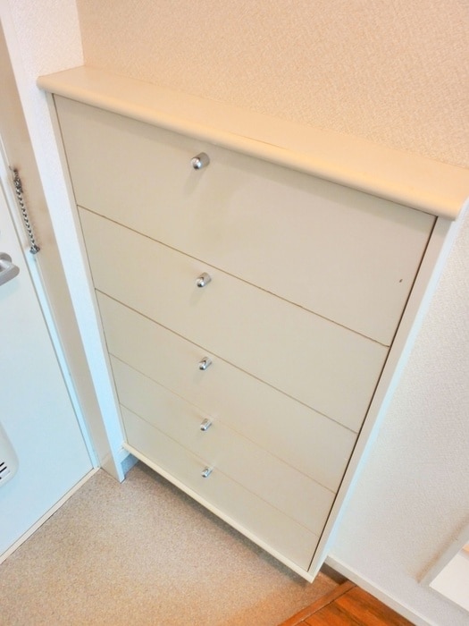 物件内観写真12　(靴箱)