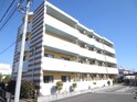 サフィ－ロ