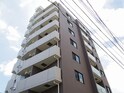 DIPS小竹向原(206)