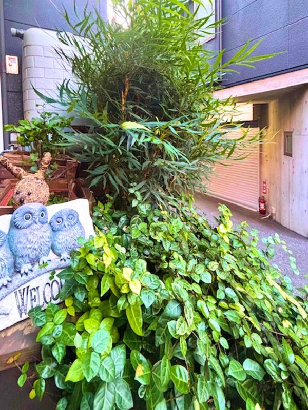 エントランス部分