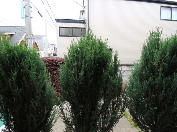 室内からの展望