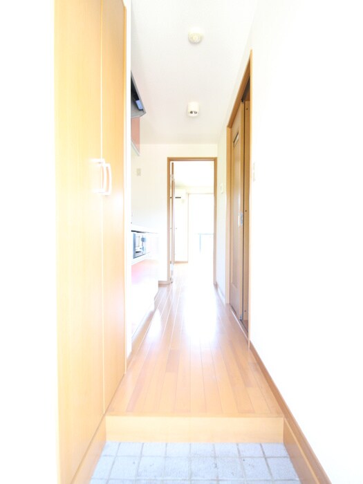 物件内観写真10　(玄関)