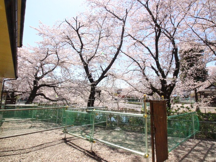 物件外観写真3　(周辺環境)