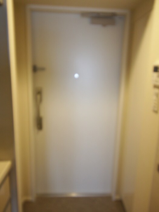 物件内観写真19　(玄関)