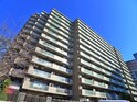ﾗｲｵﾝｽﾞﾏﾝｼｮﾝ大宮高鼻町(906)