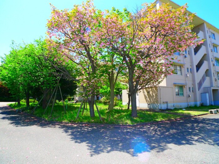 物件外観写真5　(周辺環境)