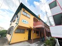 志幸３９サフラン