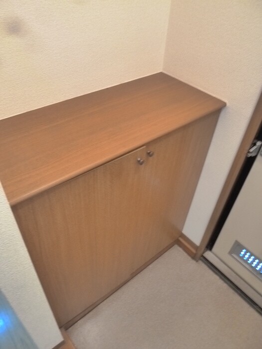 物件内観写真8　(靴箱)