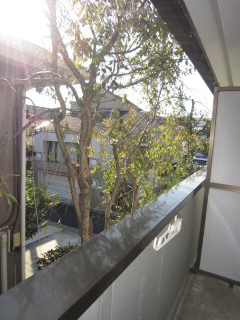 物件内観写真12　(室内からの展望)