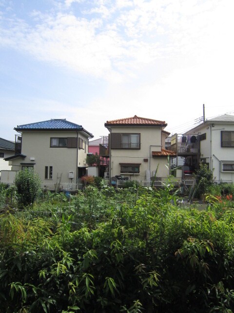 物件内観写真11　(室内からの展望)