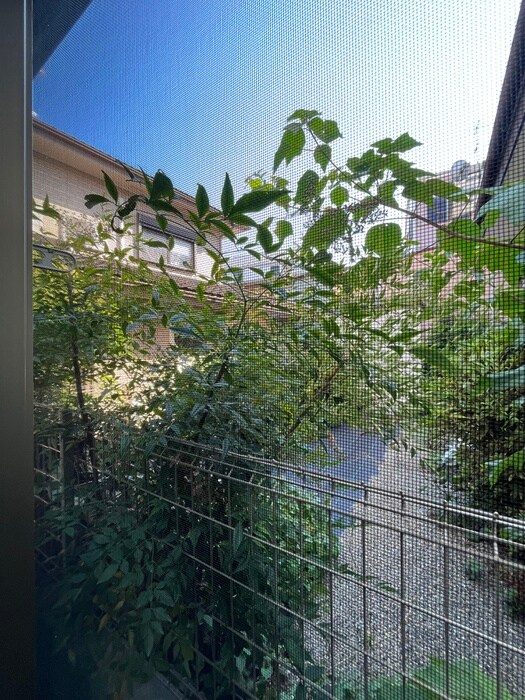 物件内観写真16　(室内からの展望)