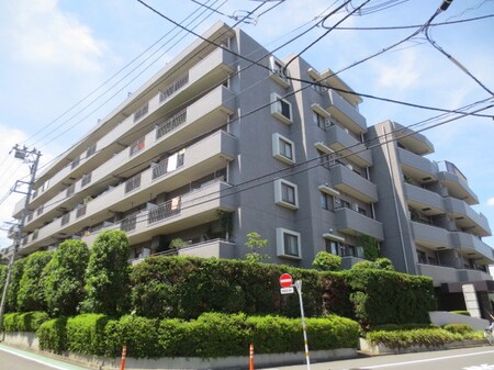 練馬高野台ﾊﾟｰｸﾎｰﾑｽﾞ（406）外観写真