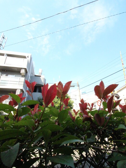 物件内観写真22　(室内からの展望)