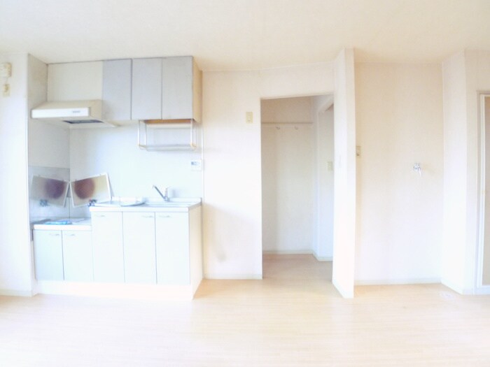 物件内観写真19　(居室)