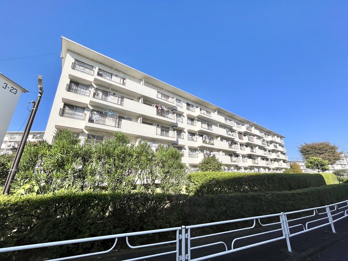 左近山団地３街区３１号棟(202)
