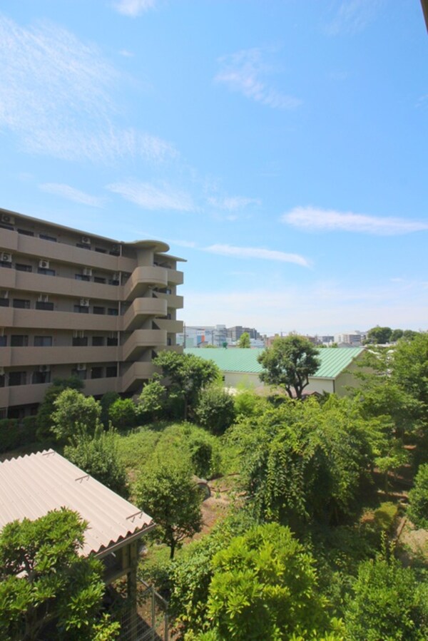 室内からの展望