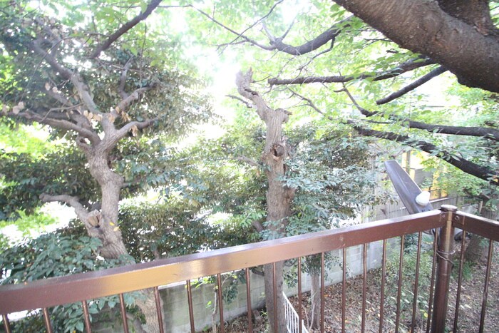 物件内観写真13　(室内からの展望)