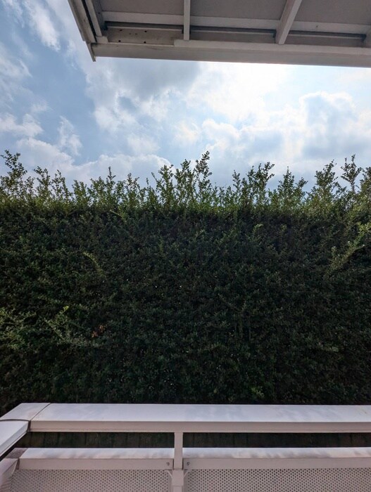 物件内観写真16　(室内からの展望)