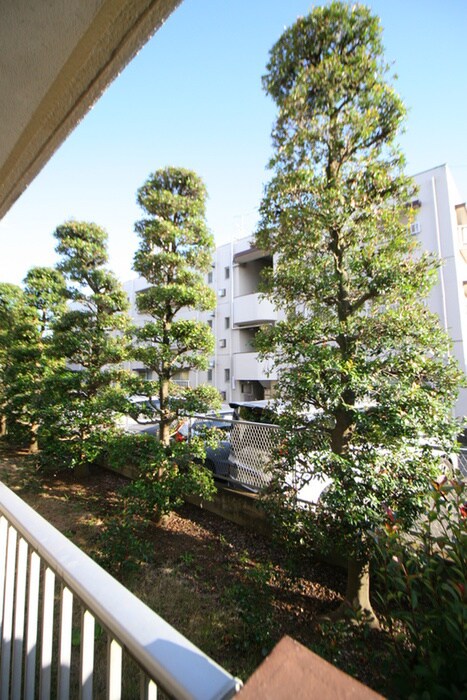 西形マンション第二の室内からの展望