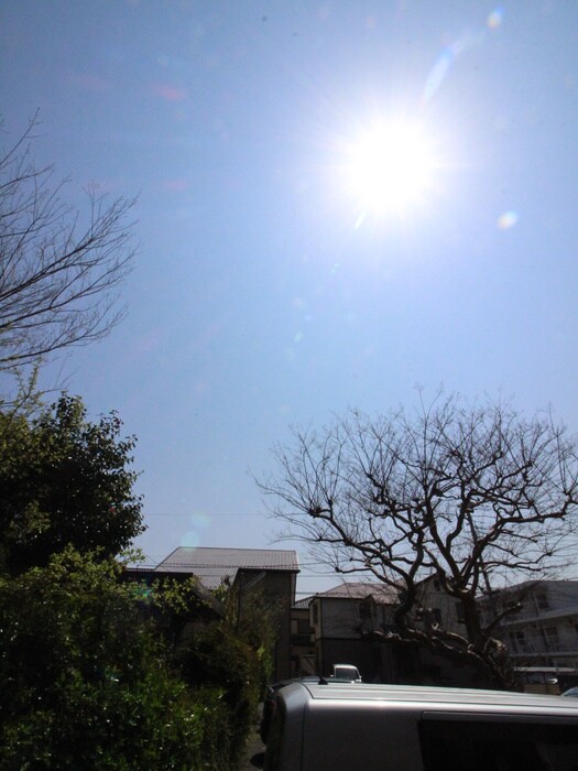 物件内観写真16　(室内からの展望)