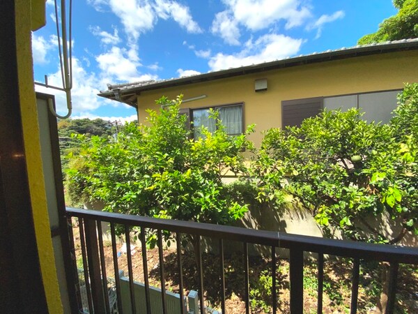 室内からの展望