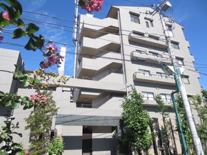 サザントゥリーⅡ外観写真