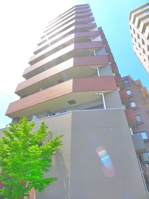 ﾊﾟﾃﾗｽｸｴｱ金町(1001)外観写真