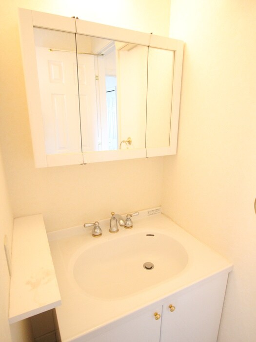 物件内観写真6　(洗面)