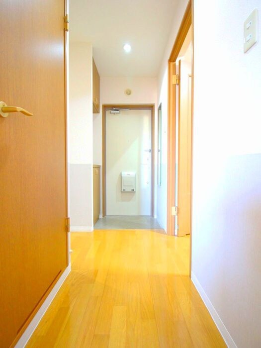 物件内観写真17　(廊下)