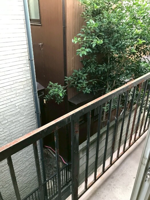 物件内観写真8　(室内からの展望)