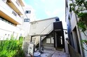 ツバキ