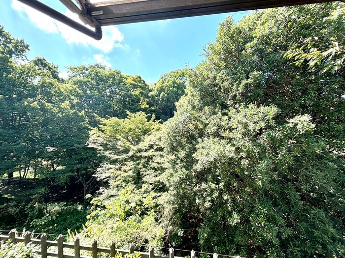 物件内観写真22　(室内からの展望)