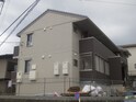 チェリーブロッサム