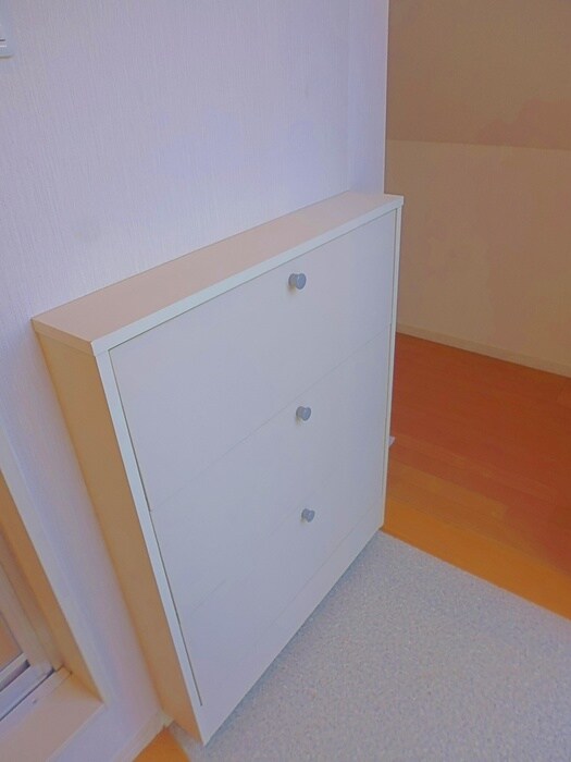 物件内観写真11　(靴箱)