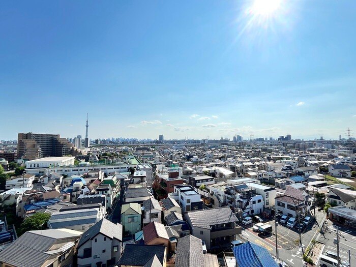 物件内観写真21　(室内からの展望)