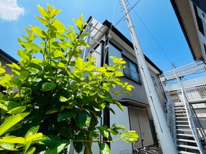 マルヨシコ－ポ２２外観写真